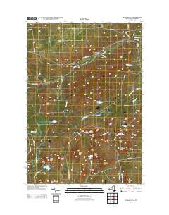 Peasleeville New York Historical topographic map, 1:24000 scale, 7.5 X 7.5 Minute, Year 2013