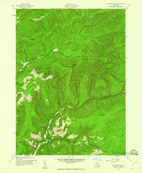 Peekamoose Mountain New York Historical topographic map, 1:24000 scale, 7.5 X 7.5 Minute, Year 1943