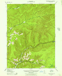 Peekamoose Mountain New York Historical topographic map, 1:24000 scale, 7.5 X 7.5 Minute, Year 1943