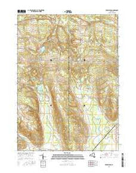 Perrysburg New York Current topographic map, 1:24000 scale, 7.5 X 7.5 Minute, Year 2016