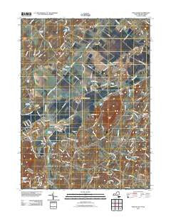 Pine Island New York Historical topographic map, 1:24000 scale, 7.5 X 7.5 Minute, Year 2011