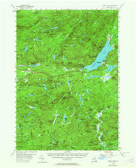 Piseco Lake New York Historical topographic map, 1:62500 scale, 15 X 15 Minute, Year 1954