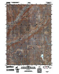Pitcher New York Historical topographic map, 1:24000 scale, 7.5 X 7.5 Minute, Year 2010