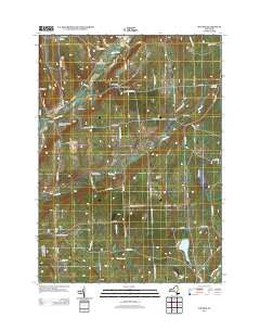 Pitcher New York Historical topographic map, 1:24000 scale, 7.5 X 7.5 Minute, Year 2013