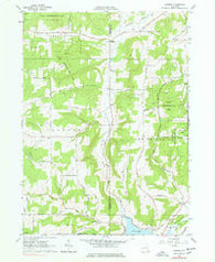 Rawson New York Historical topographic map, 1:24000 scale, 7.5 X 7.5 Minute, Year 1963