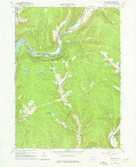 Readburn New York Historical topographic map, 1:24000 scale, 7.5 X 7.5 Minute, Year 1965