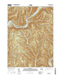 Readburn New York Current topographic map, 1:24000 scale, 7.5 X 7.5 Minute, Year 2016