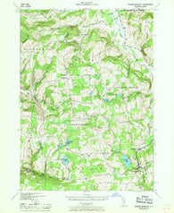 Rensselaerville New York Historical topographic map, 1:24000 scale, 7.5 X 7.5 Minute, Year 1946