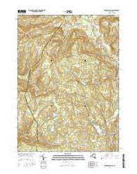 Rensselaerville New York Current topographic map, 1:24000 scale, 7.5 X 7.5 Minute, Year 2016