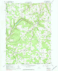 Rexville New York Historical topographic map, 1:24000 scale, 7.5 X 7.5 Minute, Year 1965