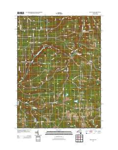 Rexville New York Historical topographic map, 1:24000 scale, 7.5 X 7.5 Minute, Year 2013