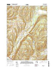 Rheims New York Current topographic map, 1:24000 scale, 7.5 X 7.5 Minute, Year 2016