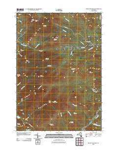 Rocky Peak Ridge New York Historical topographic map, 1:24000 scale, 7.5 X 7.5 Minute, Year 2011