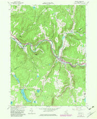 Roscoe New York Historical topographic map, 1:24000 scale, 7.5 X 7.5 Minute, Year 1965