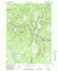 Roscoe New York Historical topographic map, 1:24000 scale, 7.5 X 7.5 Minute, Year 1965