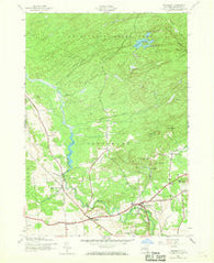 Salisbury New York Historical topographic map, 1:24000 scale, 7.5 X 7.5 Minute, Year 1945