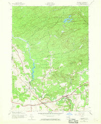 Salisbury New York Historical topographic map, 1:24000 scale, 7.5 X 7.5 Minute, Year 1945