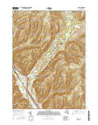 Savona New York Current topographic map, 1:24000 scale, 7.5 X 7.5 Minute, Year 2016