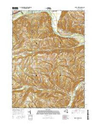 Seeley Creek New York Current topographic map, 1:24000 scale, 7.5 X 7.5 Minute, Year 2016