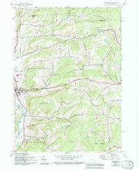 Sherburne New York Historical topographic map, 1:24000 scale, 7.5 X 7.5 Minute, Year 1943