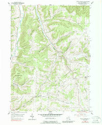 South Canisteo New York Historical topographic map, 1:24000 scale, 7.5 X 7.5 Minute, Year 1954