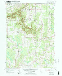 South Ripley New York Historical topographic map, 1:24000 scale, 7.5 X 7.5 Minute, Year 1954