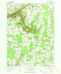 South Ripley New York Historical topographic map, 1:24000 scale, 7.5 X 7.5 Minute, Year 1954