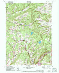 South Valley New York Historical topographic map, 1:24000 scale, 7.5 X 7.5 Minute, Year 1943
