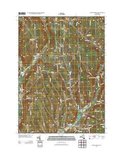South Otselic New York Historical topographic map, 1:24000 scale, 7.5 X 7.5 Minute, Year 2013