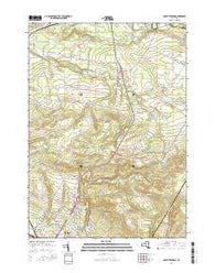 South Trenton New York Current topographic map, 1:24000 scale, 7.5 X 7.5 Minute, Year 2016