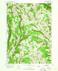 Speedsville New York Historical topographic map, 1:24000 scale, 7.5 X 7.5 Minute, Year 1949