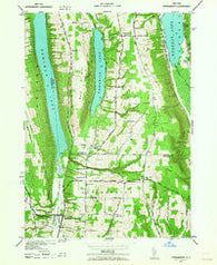 Springwater New York Historical topographic map, 1:24000 scale, 7.5 X 7.5 Minute, Year 1942