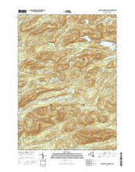 Spruce Lake Mountain New York Current topographic map, 1:24000 scale, 7.5 X 7.5 Minute, Year 2016