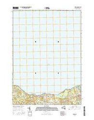 Texas New York Current topographic map, 1:24000 scale, 7.5 X 7.5 Minute, Year 2016
