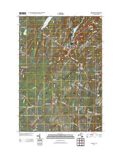 Theresa New York Historical topographic map, 1:24000 scale, 7.5 X 7.5 Minute, Year 2013