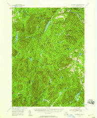 Thirteenth Lake New York Historical topographic map, 1:62500 scale, 15 X 15 Minute, Year 1954