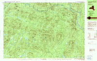 Three Ponds Mountain New York Historical topographic map, 1:25000 scale, 7.5 X 15 Minute, Year 1990