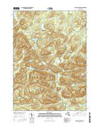 Tomany Mountain New York Current topographic map, 1:24000 scale, 7.5 X 7.5 Minute, Year 2016