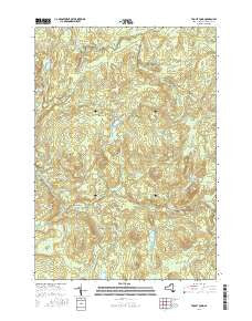 Tooley Pond New York Current topographic map, 1:24000 scale, 7.5 X 7.5 Minute, Year 2016
