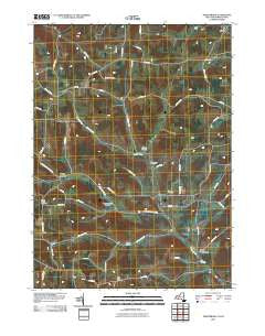 Troupsburg New York Historical topographic map, 1:24000 scale, 7.5 X 7.5 Minute, Year 2010
