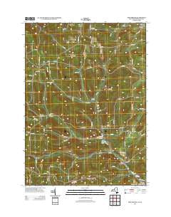 Troupsburg New York Historical topographic map, 1:24000 scale, 7.5 X 7.5 Minute, Year 2013
