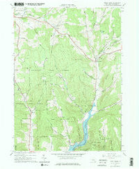 Trout Creek New York Historical topographic map, 1:24000 scale, 7.5 X 7.5 Minute, Year 1965