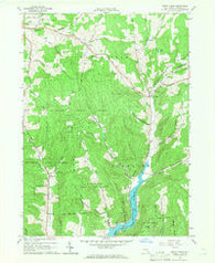 Trout Creek New York Historical topographic map, 1:24000 scale, 7.5 X 7.5 Minute, Year 1965