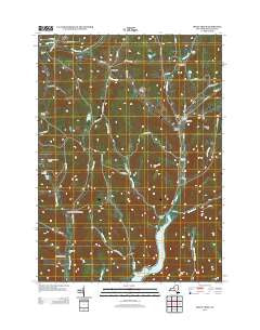 Trout Creek New York Historical topographic map, 1:24000 scale, 7.5 X 7.5 Minute, Year 2013