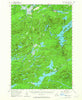 Tupper Lake New York Historical topographic map, 1:62500 scale, 15 X 15 Minute, Year 1954