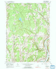 Tyner New York Historical topographic map, 1:24000 scale, 7.5 X 7.5 Minute, Year 1949