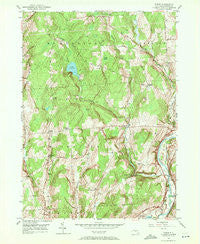 Tyner New York Historical topographic map, 1:24000 scale, 7.5 X 7.5 Minute, Year 1949