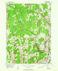 Tyner New York Historical topographic map, 1:24000 scale, 7.5 X 7.5 Minute, Year 1949