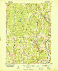Tyner New York Historical topographic map, 1:24000 scale, 7.5 X 7.5 Minute, Year 1951