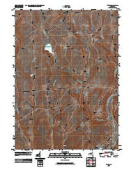 Tyner New York Historical topographic map, 1:24000 scale, 7.5 X 7.5 Minute, Year 2010